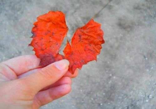 苏州侦探取证：离婚协议后不出抚养费怎么办理